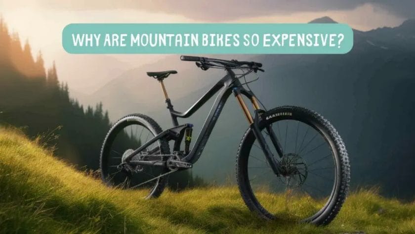 Photo of a black mountain bike on a mountain. Why Are Mountain Bikes So Expensive?