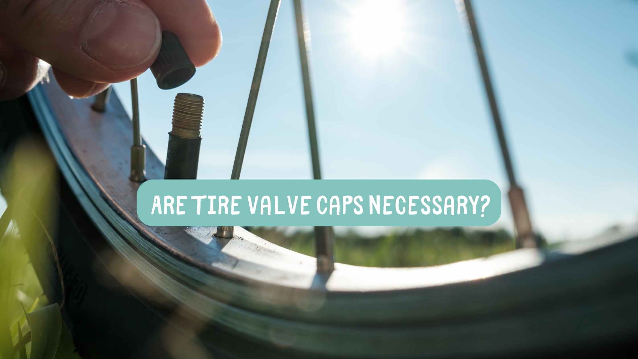 Are Tire Valve Caps Necessary? (Analysis)